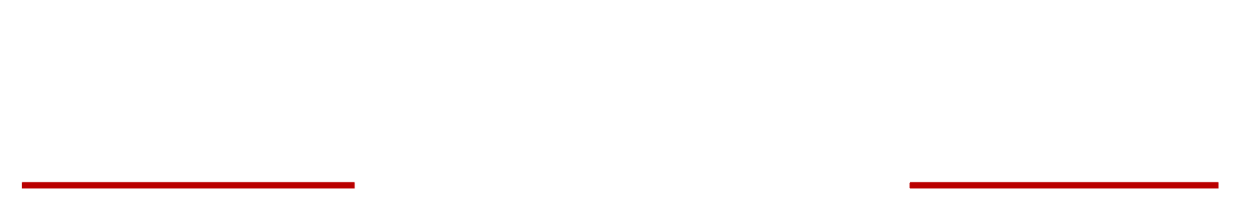 Смерть шпионам. Лисья нора