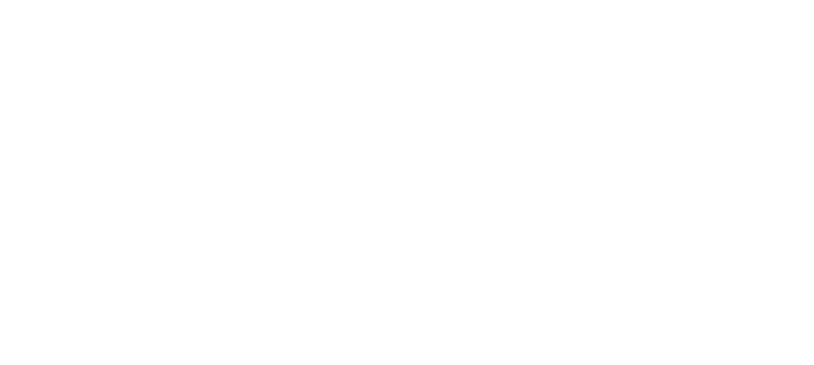 Разоблачение Единорога