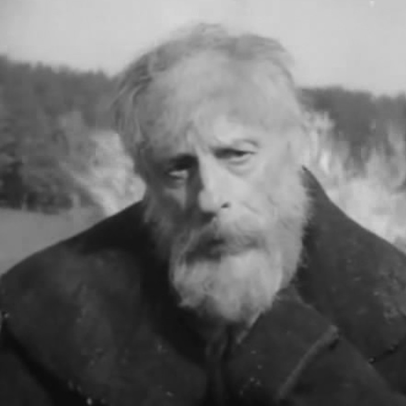 Николай Новлянский