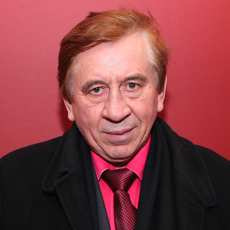 Владимир Пермяков