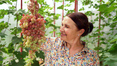 Московская область 2