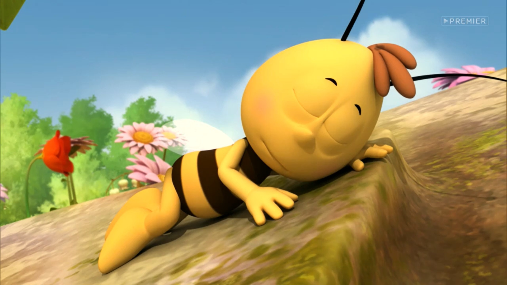 пчелка спит картинки