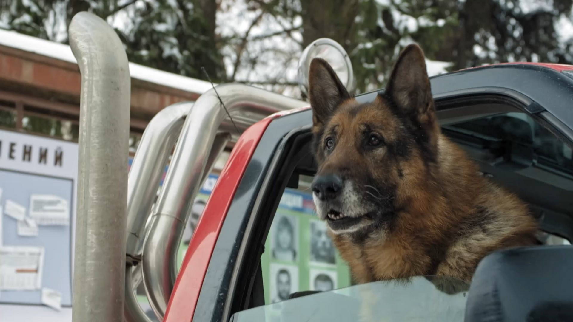 пес 6 хорошее качество