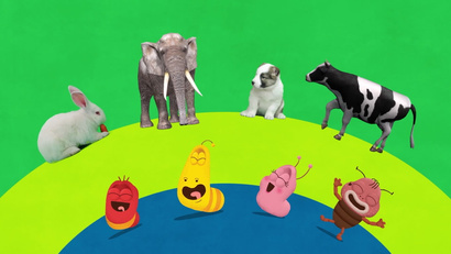 Друзья-животные