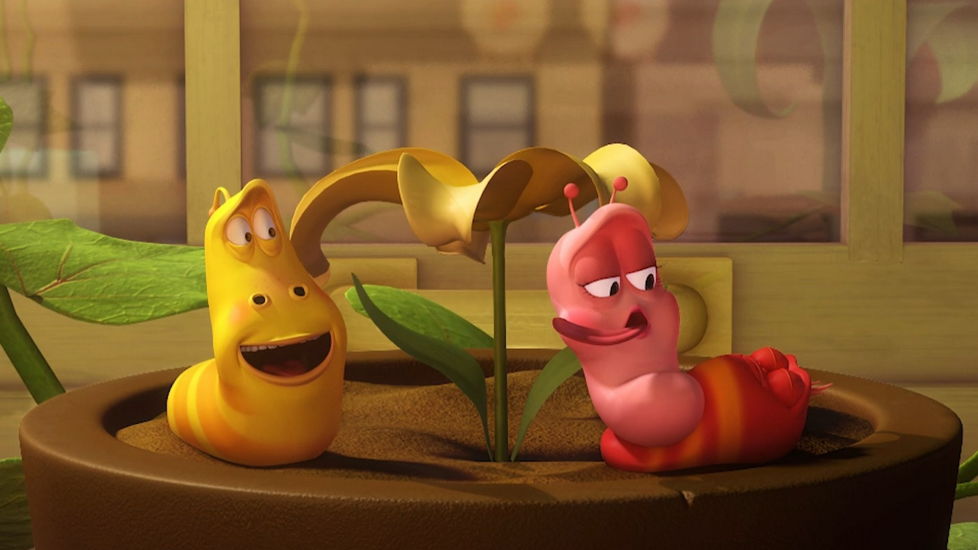 Привет, Розовая!