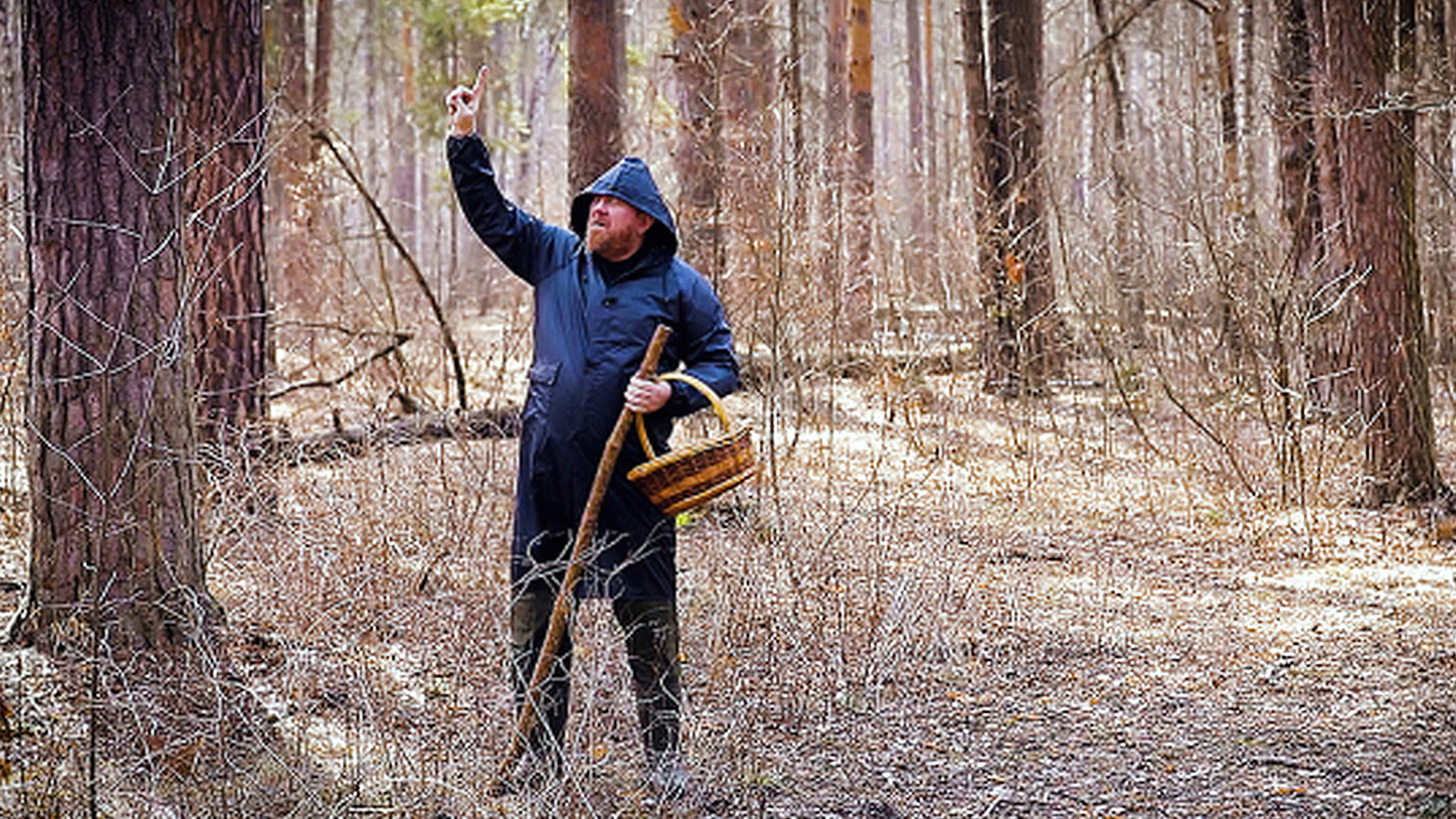 Тамбов. Лес