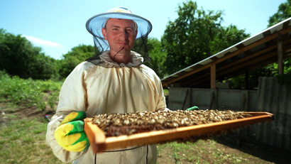 Северный Кавказ