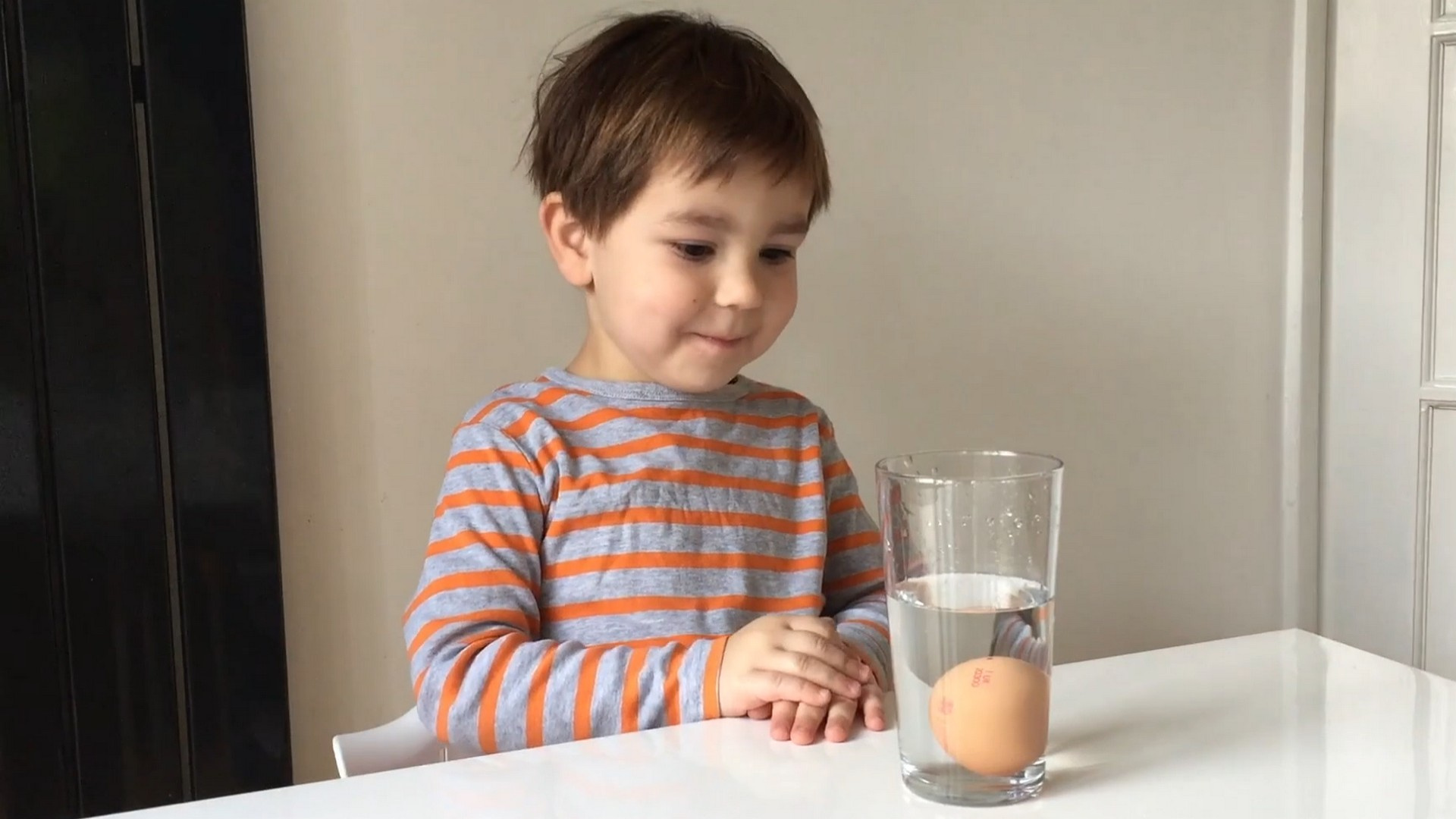 Простые научные эксперименты с яйцами