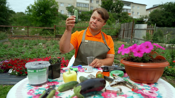 Московская область 2