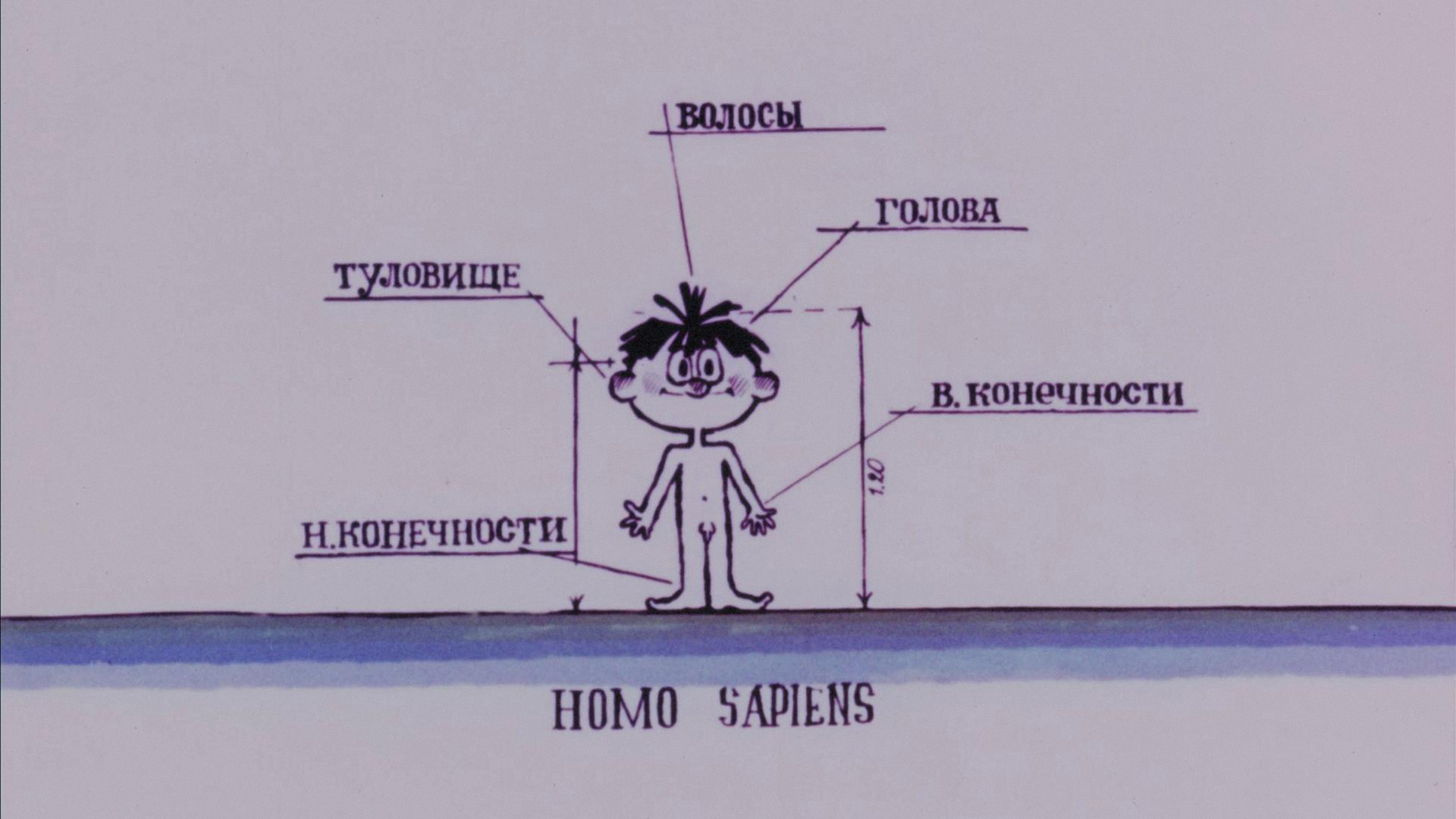 На задней парте hd