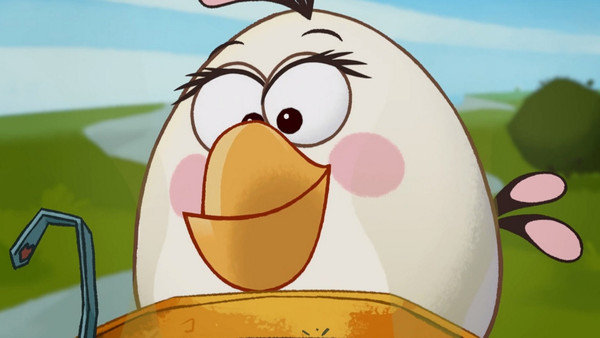 Мастер своего дела