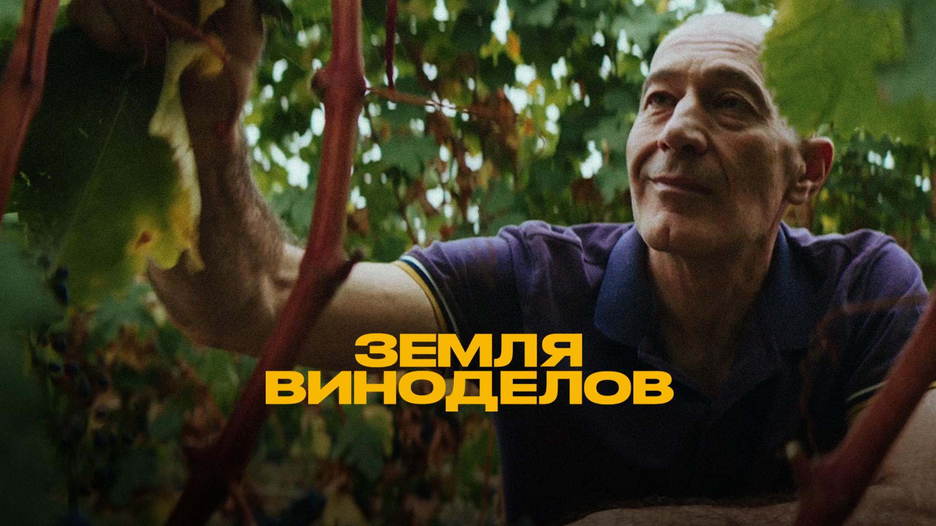 4. Константин Дзитоев