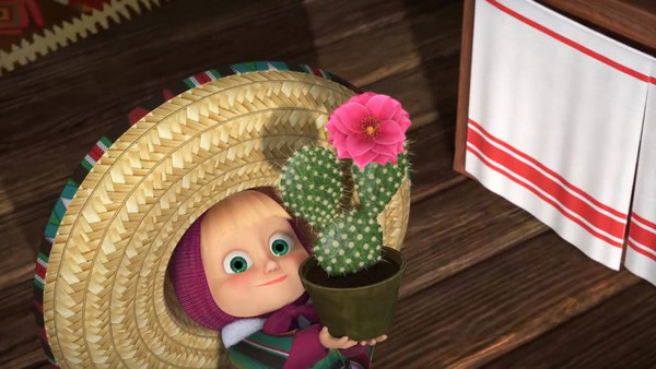 Когда цветут кактусы