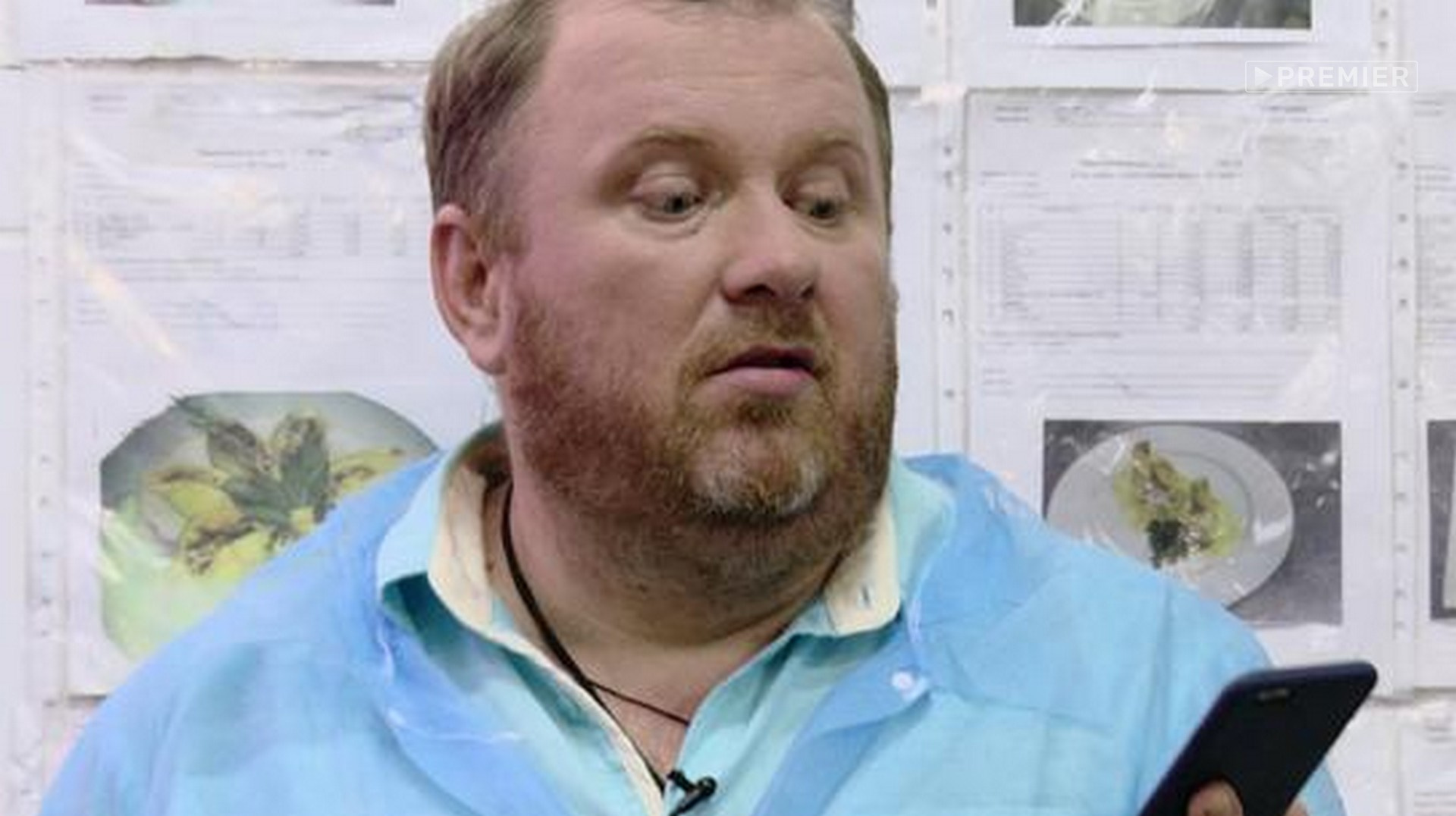 Химки. Репин