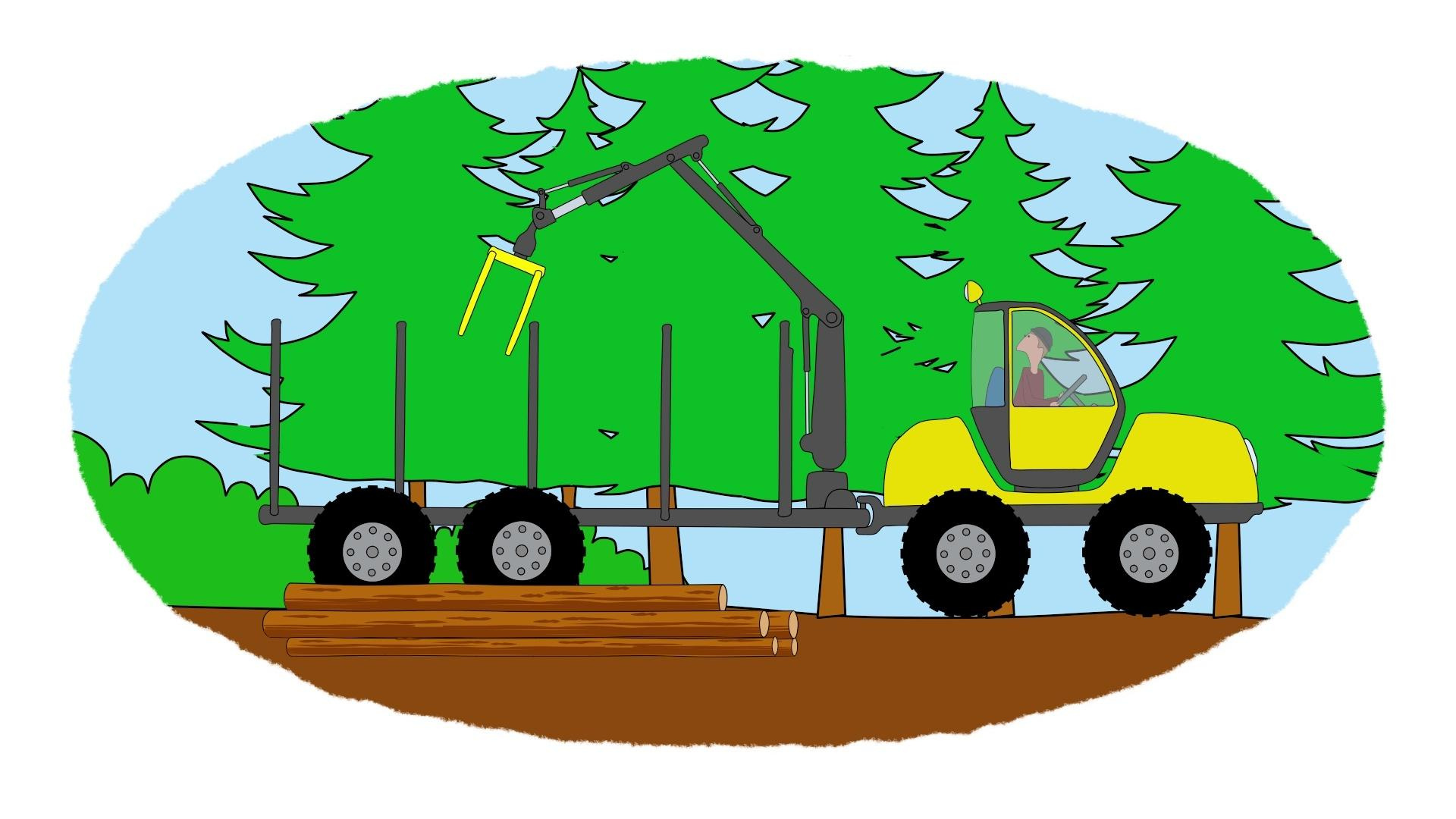 Тракторы, работающие в лесу