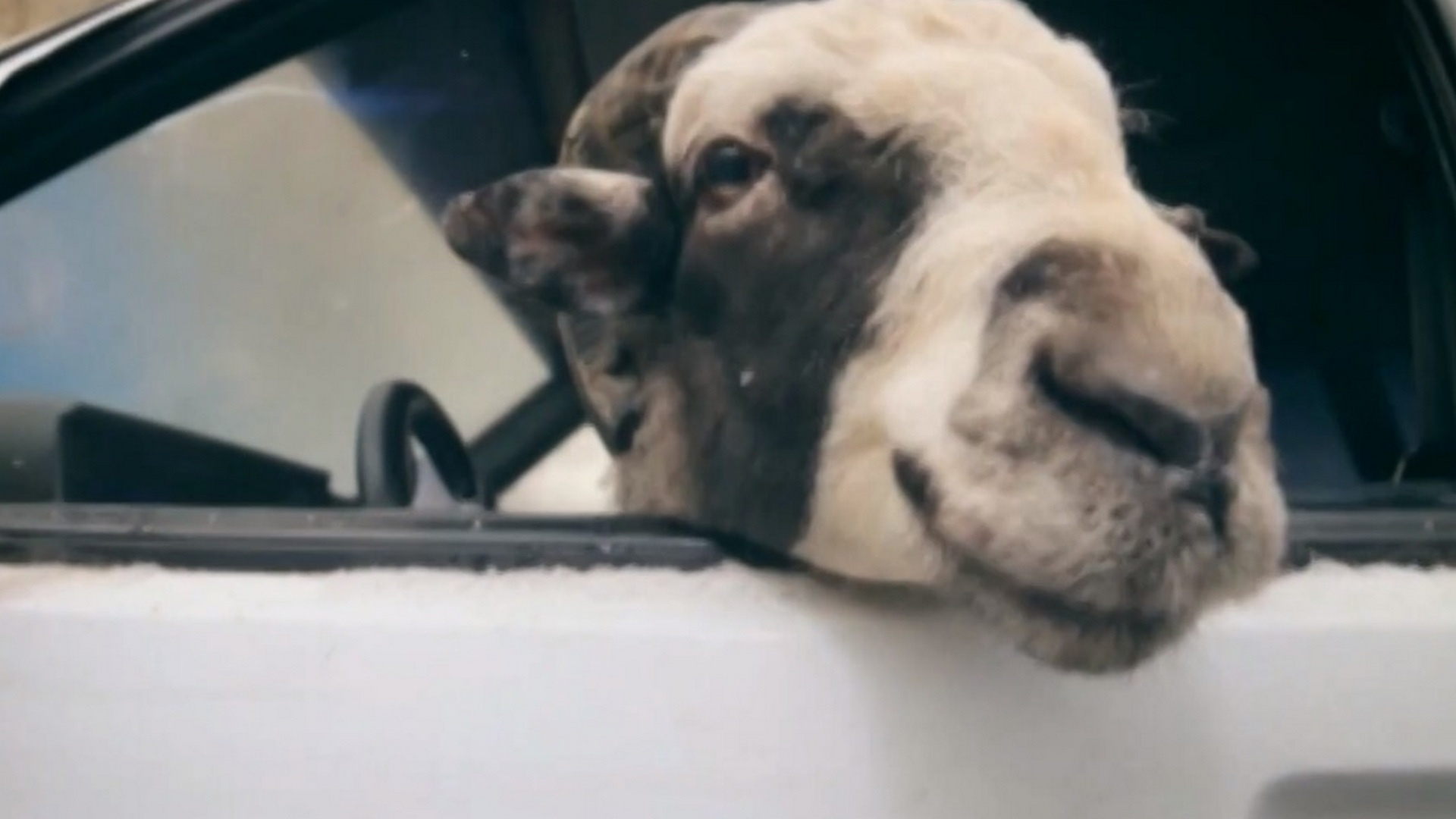 6 выпуск. Volvo 740