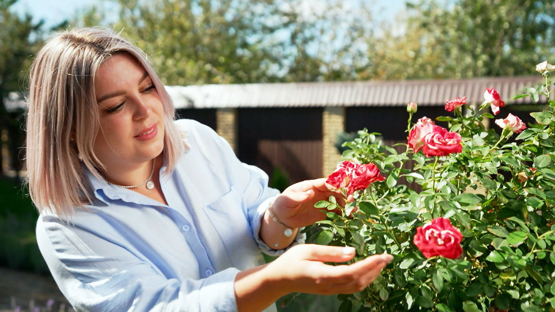 Краснодарский край 4