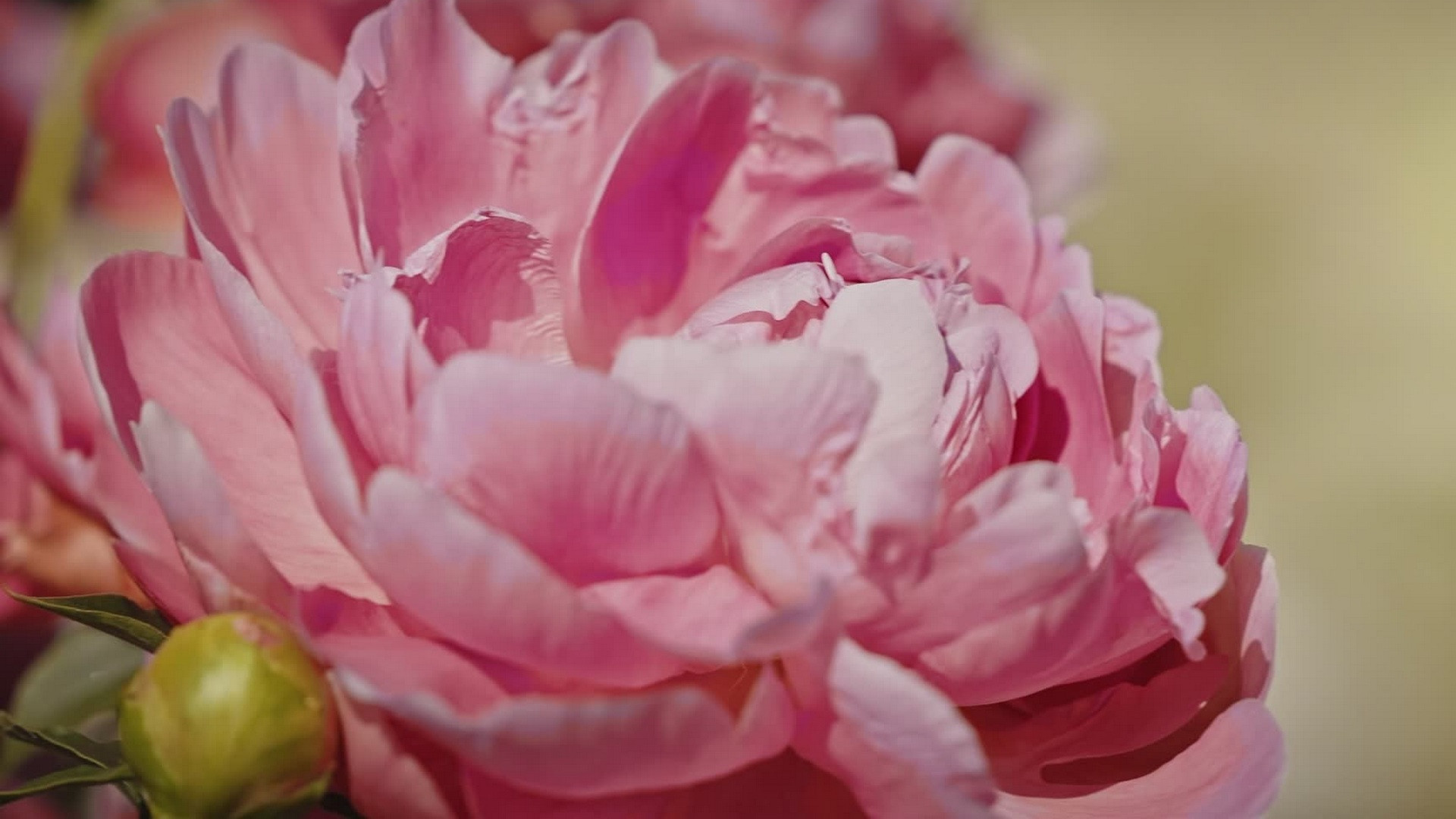 Ленинградская область