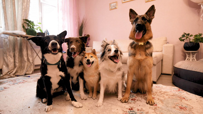 Чёрный список 3 сезон 7 выпуск