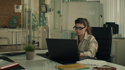 Хамелеон. Часть 3