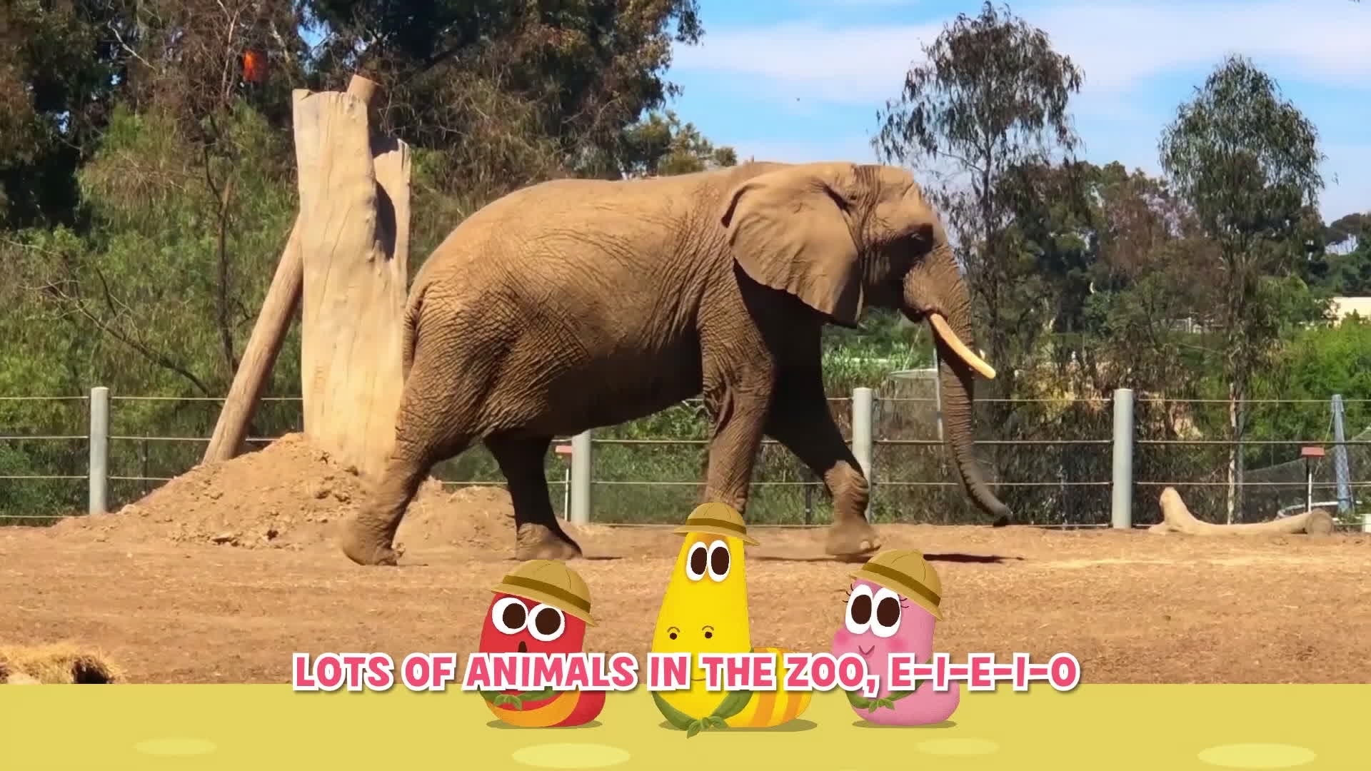 Пойдем в зоопарк!