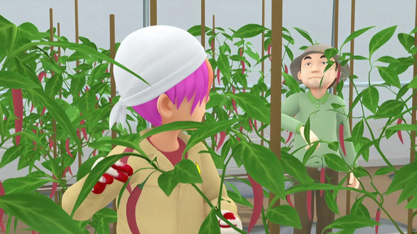 Заговоры и пилоты